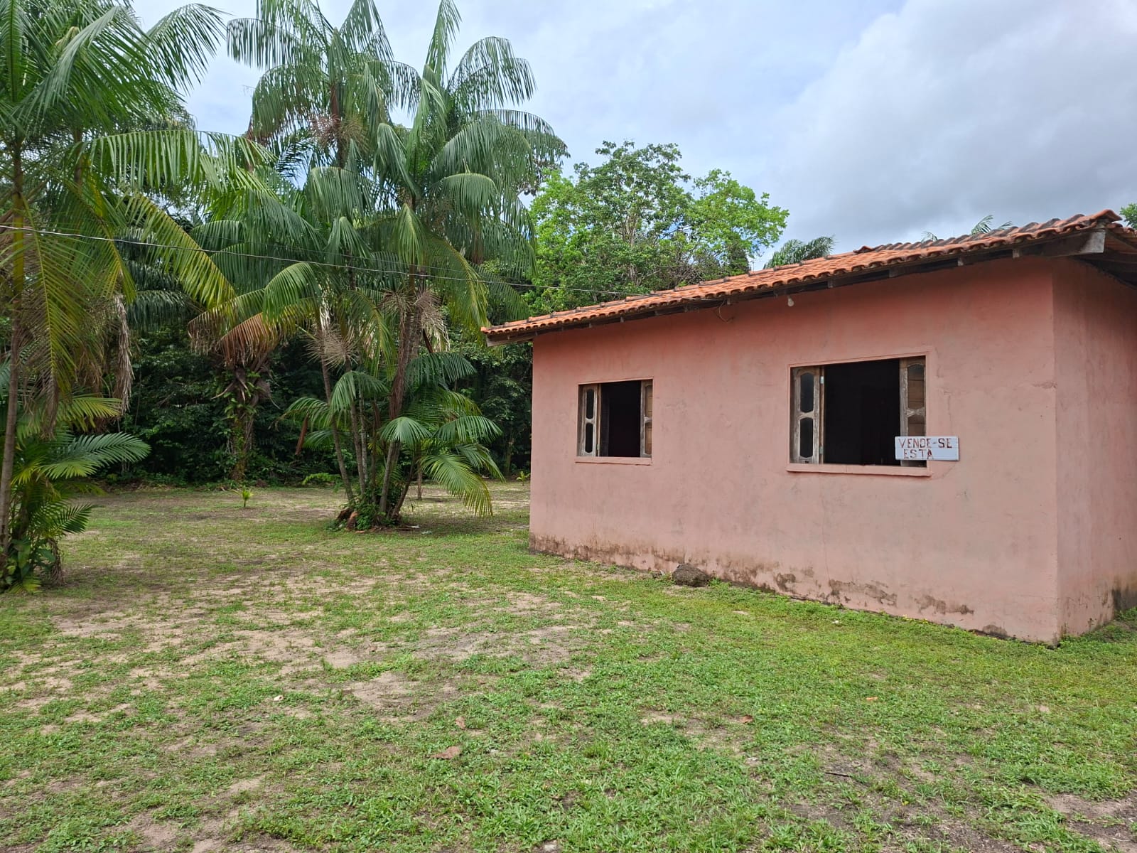 VENDO IMÓVEL RURAL COM CASA EM ALVENARIA – ÓTIMA OPORTUNIDADE DE INVESTIMENTO EM ABAETÉTUBA/PA