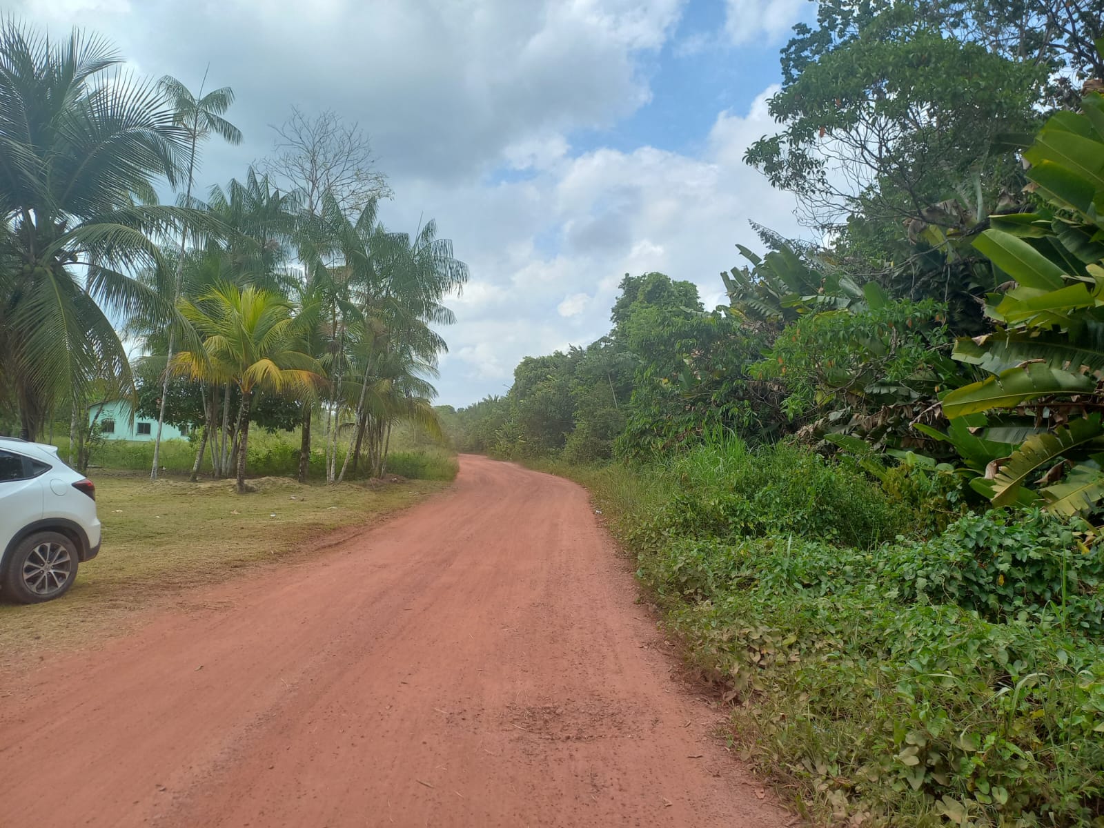 Vendo área com 70.000 m², entre o Trevo do Peteca e o Trevo da Alça Viária - Barcarena - Pará