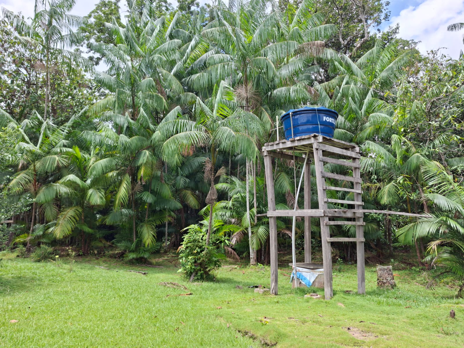 VENDE SÍTIO COM CASA - BARCARENA-PA