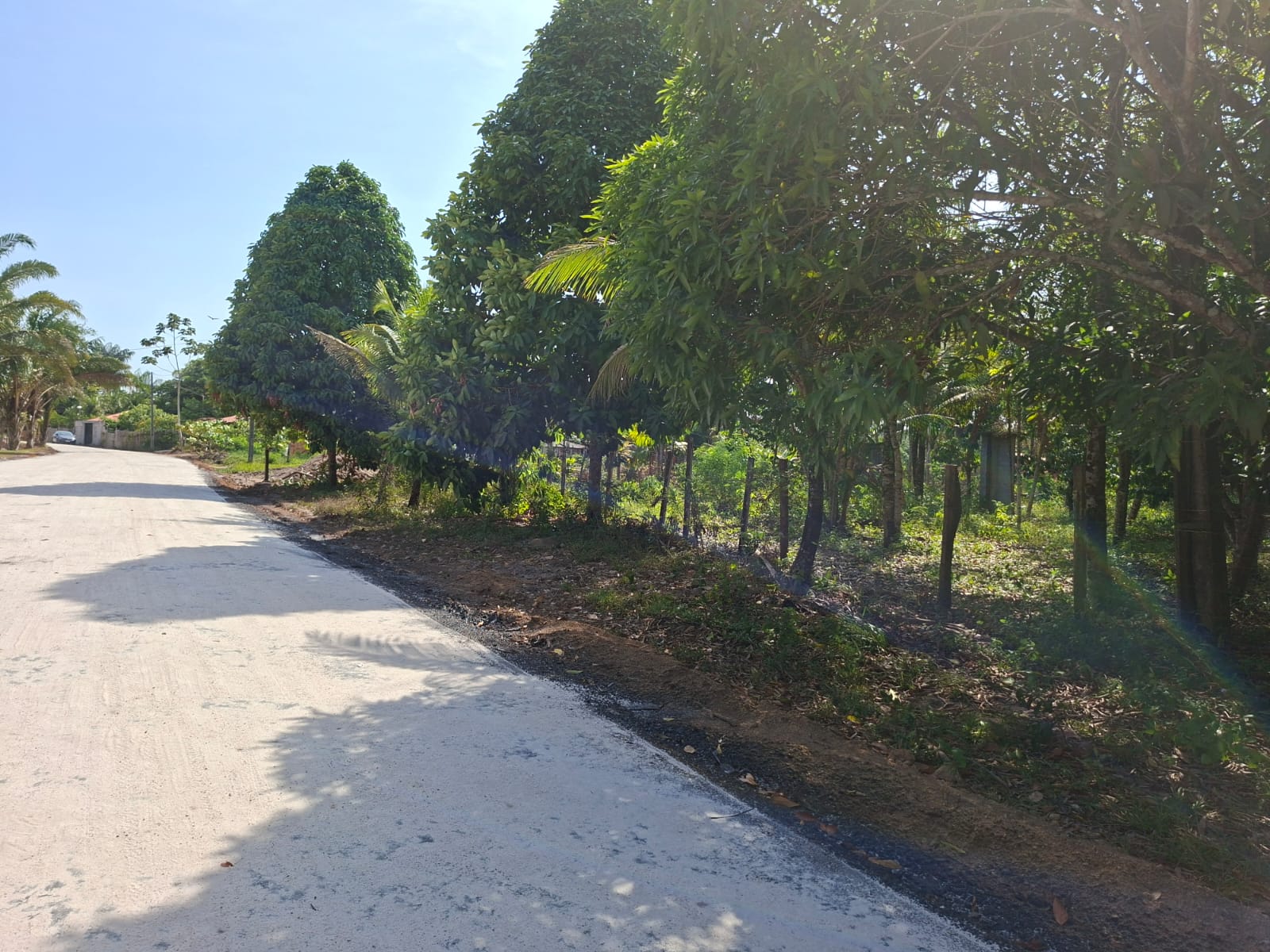 VENDO TERRENO MEDINDO 37 X 75 - BAIRRO FAZENDINHA - BARCARENA-PA.