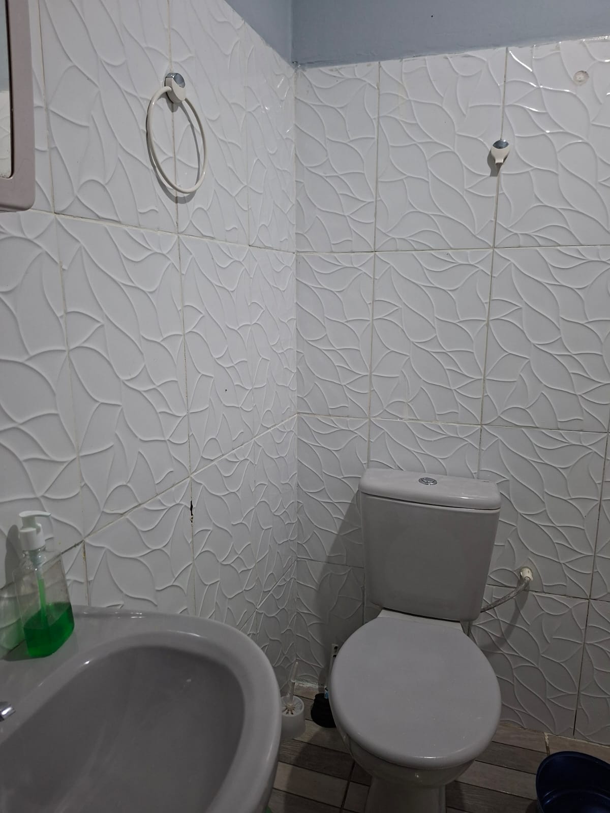 VENDO UM IMÓVEL TIPO SÍTIO, LOCALIZADO NO RAMAL MOJUQUARA, VILA DOS CABANOS, BARCARENA/PA.