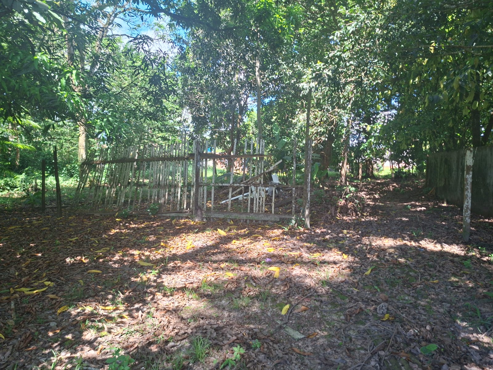 ATENÇÃO INVESTIDORES – VENDO UM IMÓVEL URBANO RESIDENCIAL/COMERCIAL COM GALPÃO – MEDINDO 1.800 M² - EM VILA DOS CABANOS – BARCARENA/PA.