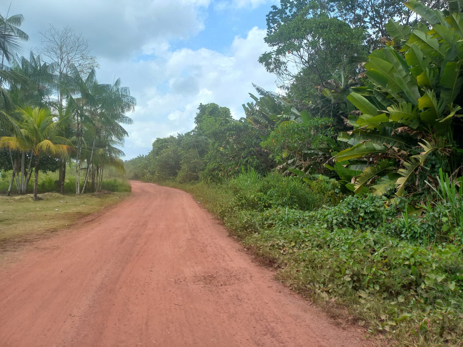 Vendo área com 70.000 m², entre o Trevo do Peteca e o Trevo da Alça Viária - Barcarena - Pará