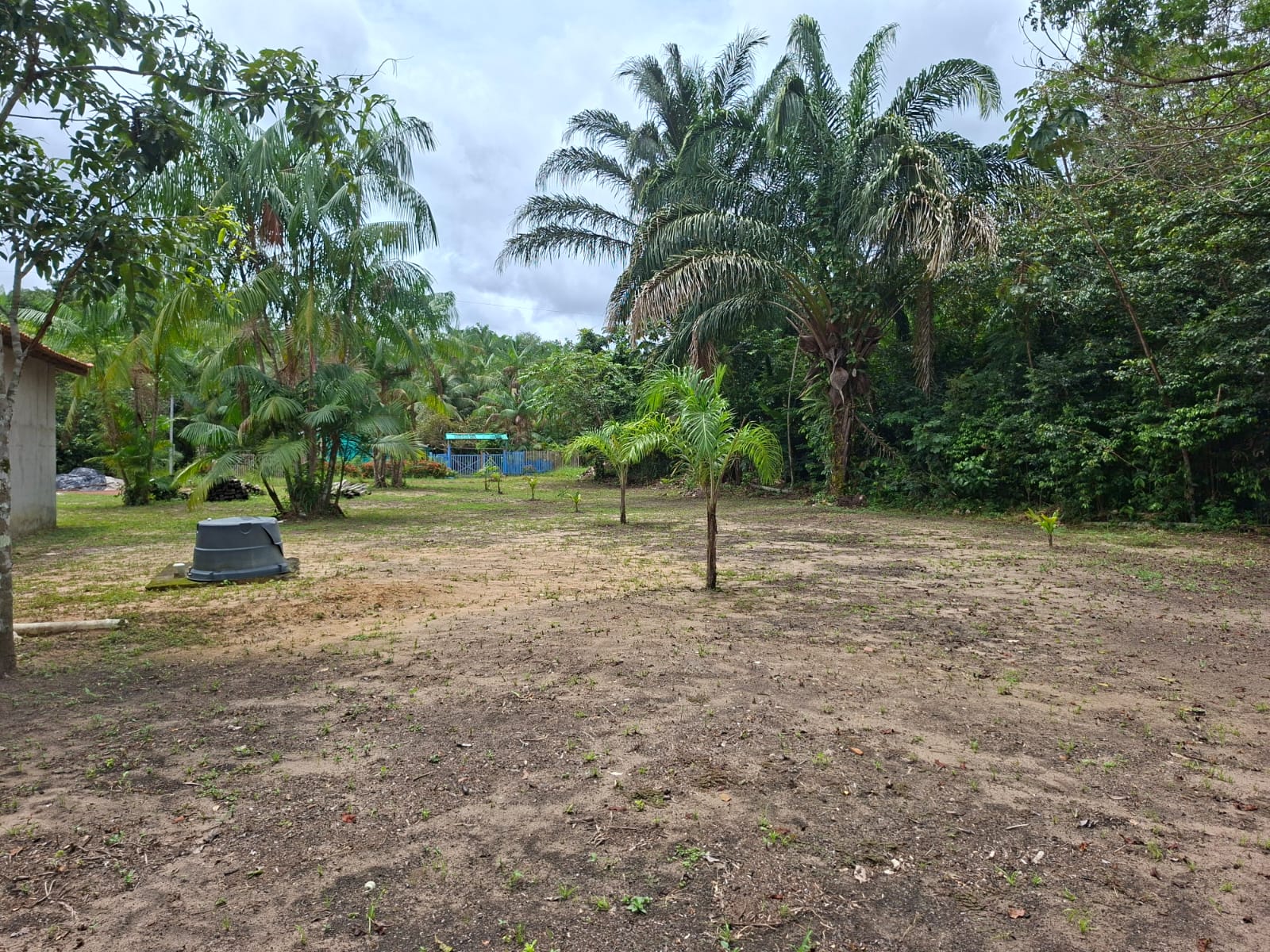VENDO IMÓVEL RURAL COM CASA EM ALVENARIA – ÓTIMA OPORTUNIDADE DE INVESTIMENTO EM ABAETÉTUBA/PA