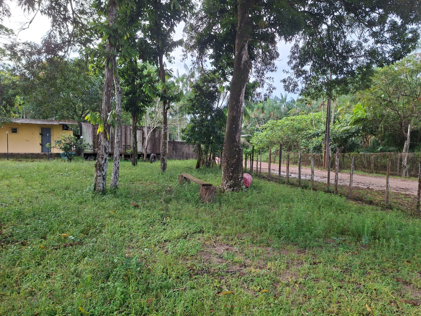 VENDO UM IMÓVEL TIPO SÍTIO, LOCALIZADO NO RAMAL MOJUQUARA, VILA DOS CABANOS, BARCARENA/PA.