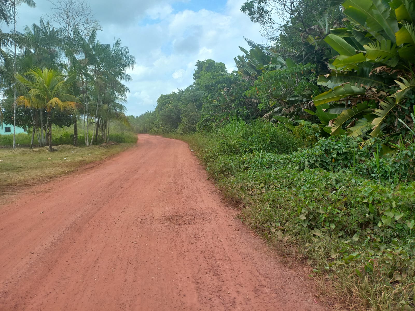 Vendo área com 70.000 m², entre o Trevo do Peteca e o Trevo da Alça Viária - Barcarena - Pará