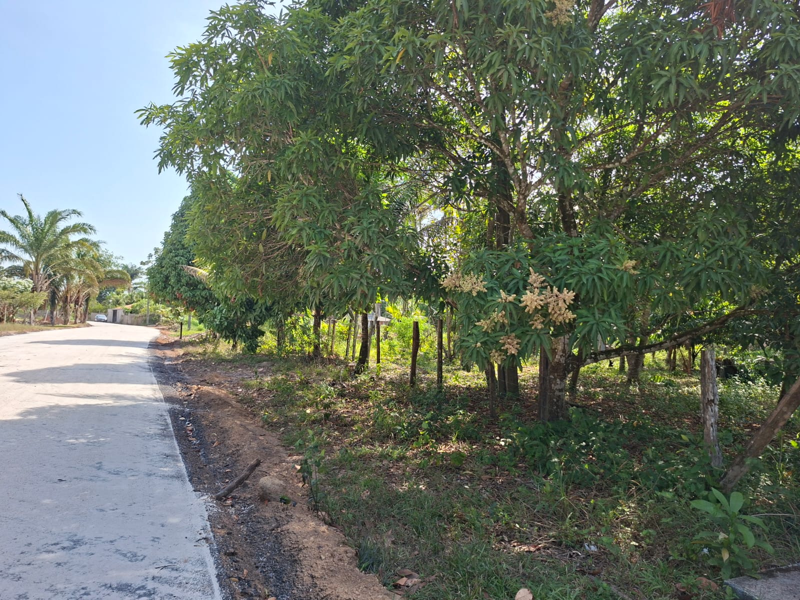 VENDO TERRENO MEDINDO 37 X 75 - BAIRRO FAZENDINHA - BARCARENA-PA.
