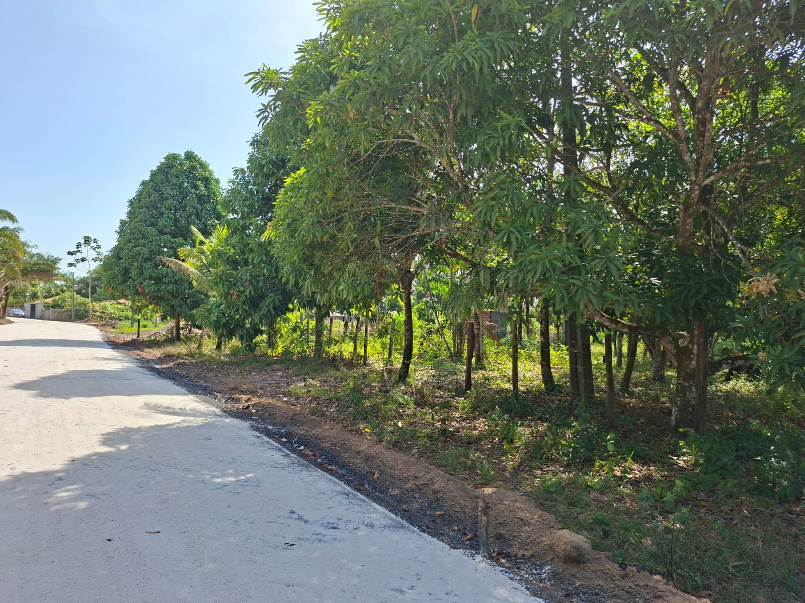 VENDO TERRENO MEDINDO 37 X 75 - BAIRRO FAZENDINHA - BARCARENA-PA.
