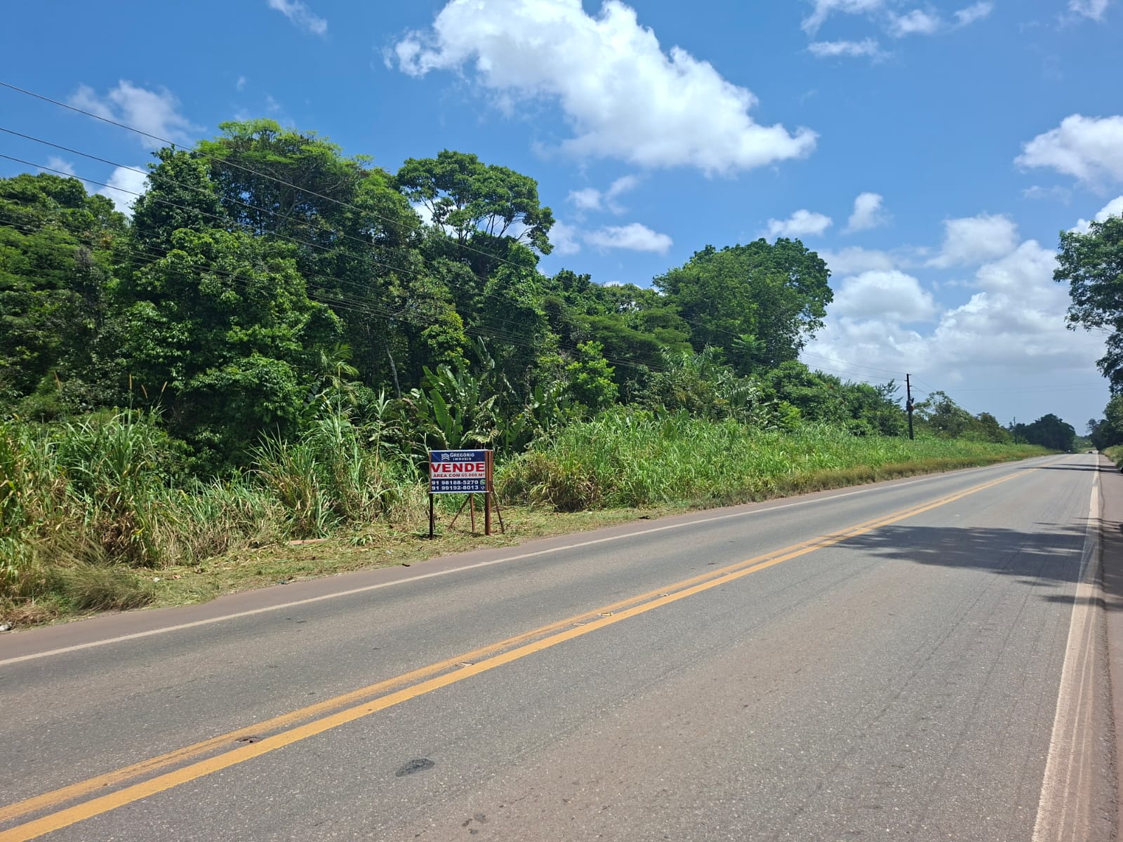 ATENÇÃO INVESTIDORE - ÁREA DE GRANDE PORTE COM LOCALIZAÇÃO PRIVILEGIADA NA PA 483 = BARCARENA/PA.