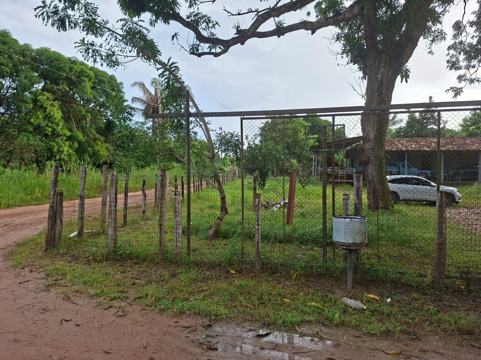 VENDO UM IMÓVEL TIPO SÍTIO, LOCALIZADO NO RAMAL MOJUQUARA, VILA DOS CABANOS, BARCARENA/PA.
