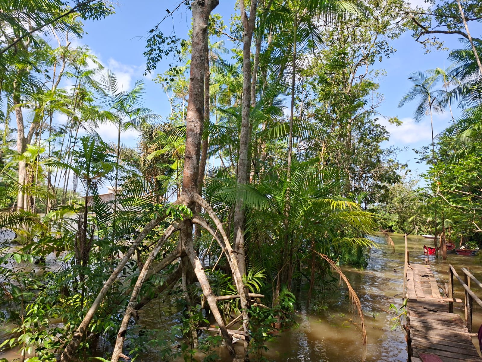 VENDO CASA NA PRAIA DA FAZENDINHA EM BARCARENA - PARÁ